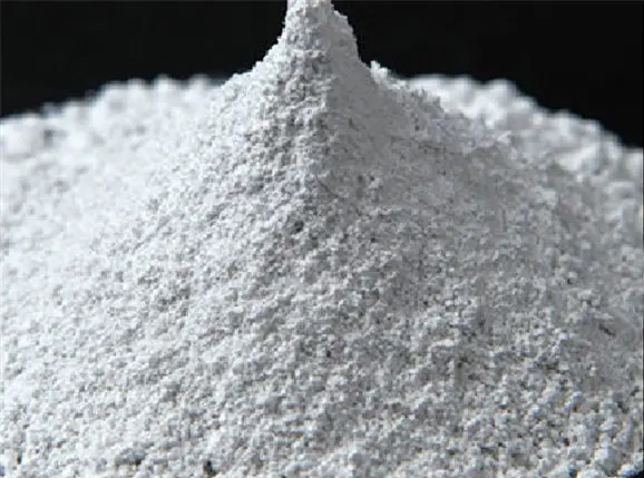 (圖:石膏展示圖)